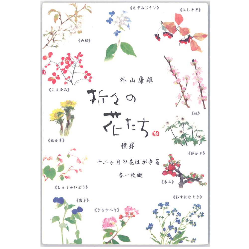 Amazon | 表現社 はがき箋 横書き 12柄 12枚 美濃和紙 折々の花 十二